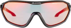 Alpina S-Way QVM+ Brille Schwarz