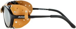 Alpina Sibiria Brille Schwarz/braun