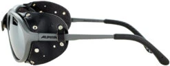 Alpina Sibiria Brille Schwarz/grau