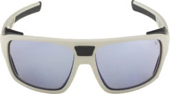 Alpina Skywalsh VLM+ Brille Grau