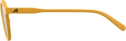 Alpina Sneek Sonnenbrille Gelb -Alpina alpina sneek glasses burned yellow matt yellow mirror 3