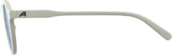Alpina Sneek Sonnenbrille Grau -Alpina alpina sneek glasses cool grey matt iceblue mirror 3