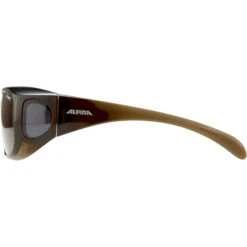 Alpina Sunglasses Overview Schwarz -Alpina alpina sonnenbrille overview 5 1