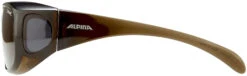 Alpina Sunglasses Overview Schwarz -Alpina alpina sonnenbrille overview 5