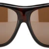 Alpina Sunglasses Overview Schwarz/braun -Alpina alpina sonnenbrille overview havana brown mirror 2