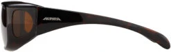 Alpina Sunglasses Overview Schwarz/braun -Alpina alpina sonnenbrille overview havana brown mirror 5