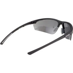 Alpina Tri-Effect 2.0 Brille Schwarz -Alpina alpina tri effect 20 glasses black mat 3 1