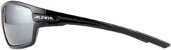 Alpina Tri-Scray 2.0 Brille Schwarz 10 Alpina Tri-Scray 2.0 Brille Schwarz -Alpina alpina tri scray 20 glasses black black mirror 5