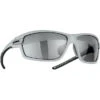Alpina Tri-Scray 2.0 Brille Grau