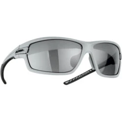Alpina Tri-Scray 2.0 Brille Grau