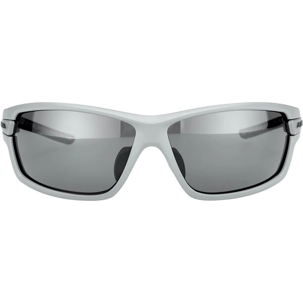 Alpina Tri-Scray 2.0 Brille Grau 4 Alpina Tri-Scray 2.0 Brille Grau – Bild 2