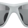 Alpina Tri-Scray 2.0 Brille Grau 1 Alpina Tri-Scray 2.0 Brille Grau -Alpina alpina tri scray 20 glasses moon grey matt black mirror 2
