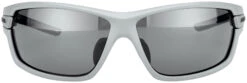 Alpina Tri-Scray 2.0 Brille Grau