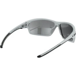Alpina Tri-Scray 2.0 Brille Grau 10 Alpina Tri-Scray 2.0 Brille Grau -Alpina alpina tri scray 20 glasses moon grey matt black mirror 3 1