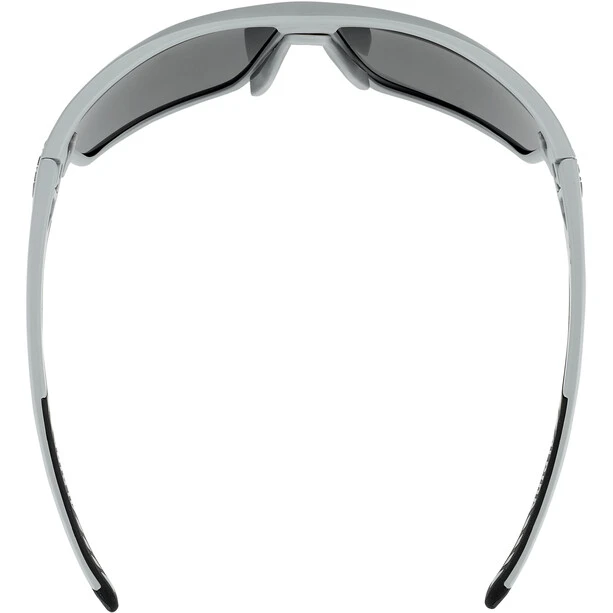 Alpina Tri-Scray 2.0 Brille Grau 6 Alpina Tri-Scray 2.0 Brille Grau – Bild 4