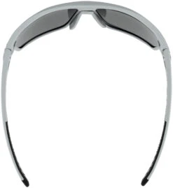 Alpina Tri-Scray 2.0 Brille Grau -Alpina alpina tri scray 20 glasses moon grey matt black mirror 4