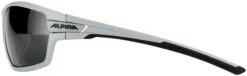 Alpina Tri-Scray 2.0 Brille Grau -Alpina alpina tri scray 20 glasses moon grey matt black mirror 5