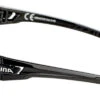 Alpina Tri-Scray 2.0 HR Brille Schwarz