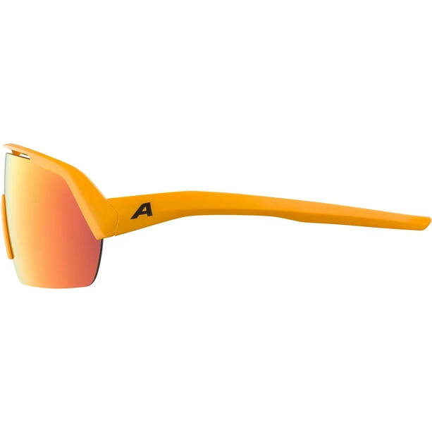 Alpina Turbo HR Sonnenbrille Gelb 5 Alpina Turbo HR Sonnenbrille Gelb – Bild 3