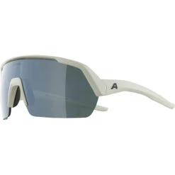 Alpina Turbo HR Q-Lite Sonnenbrille Grau