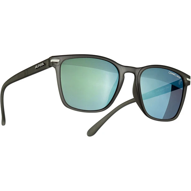 Alpina Yefe Brille Grau 3 Alpina Yefe Brille Grau