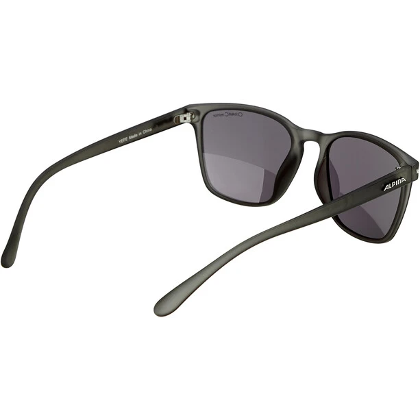 Alpina Yefe Brille Grau 5 Alpina Yefe Brille Grau – Bild 3