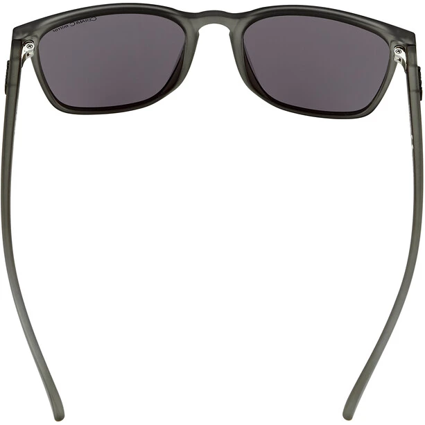 Alpina Yefe Brille Grau 6 Alpina Yefe Brille Grau – Bild 4